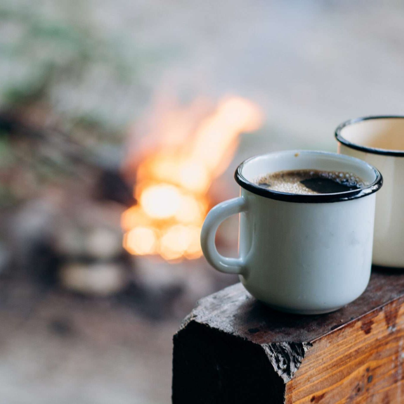 Two,Coffee,Sitting,On,An,Old,Log,By,An,Outdoor